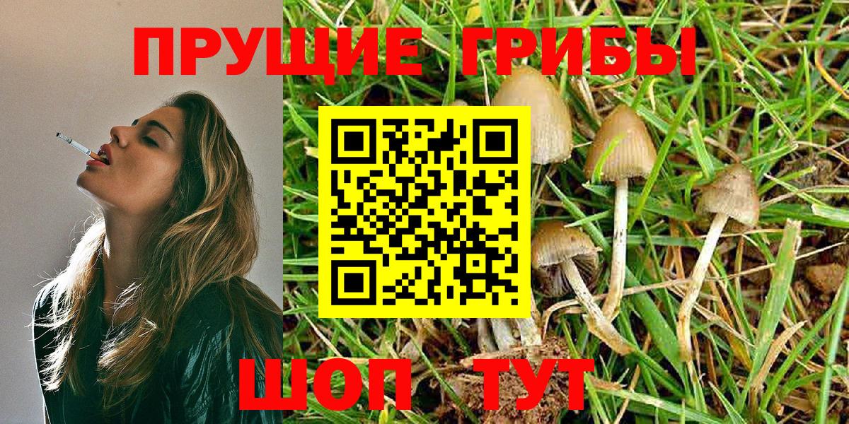 Галлюциногенные грибы Magic Shrooms  Вход с VPN  Красноармейск 