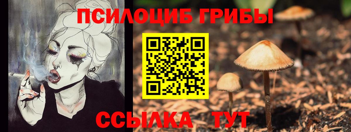 Псилоцибиновые грибы Magic Shrooms Красноармейск